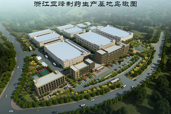 在建金西項目